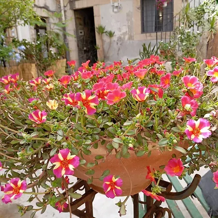 شقة Scibona Ortigia *