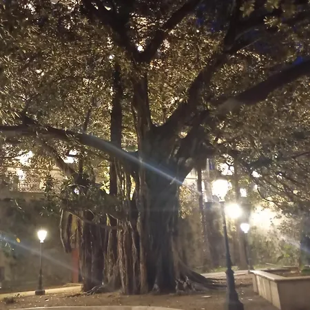 Scibona Ortigia דירה